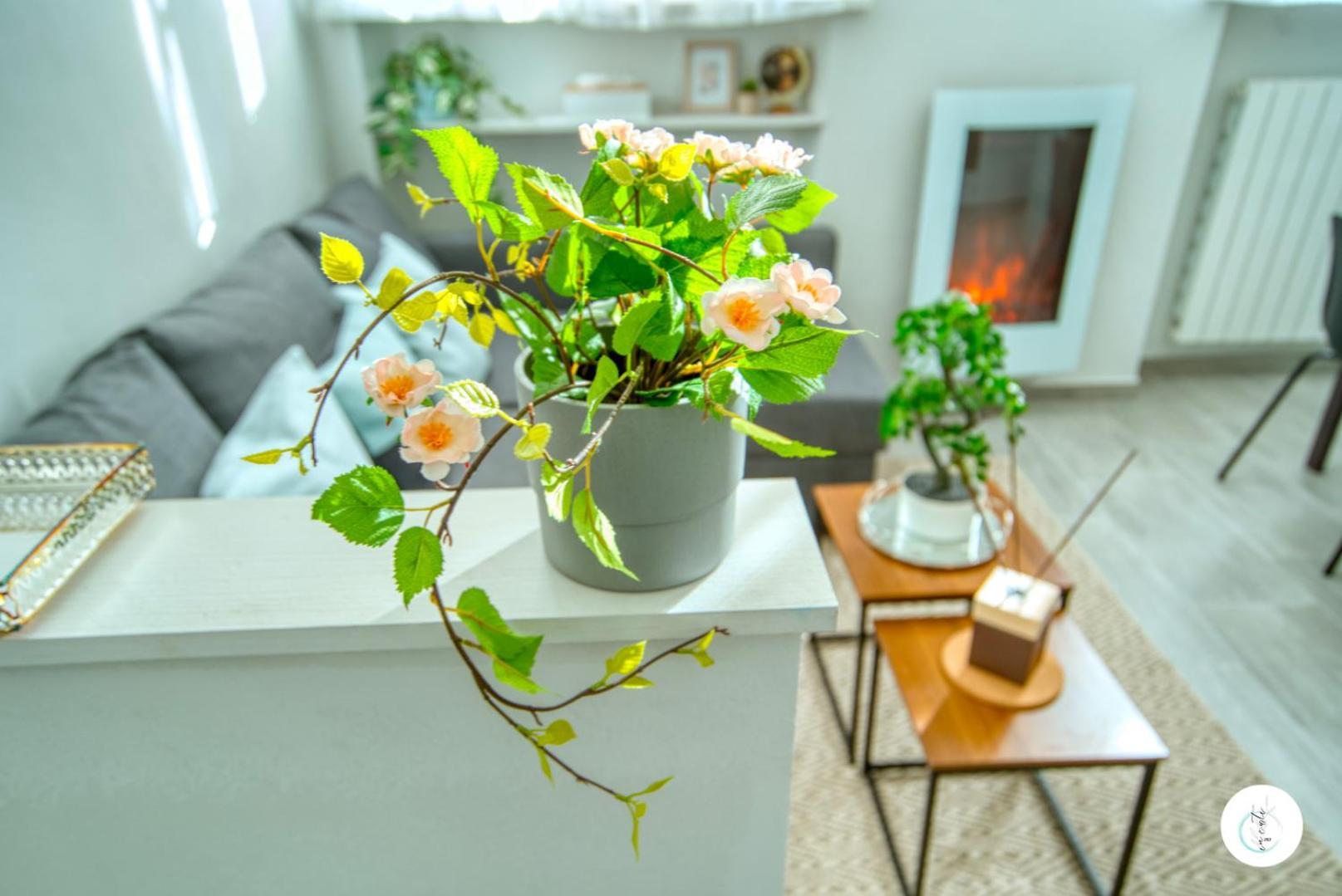 In Curti 1913 Apartment ปาราบิอาโก ภายนอก รูปภาพ