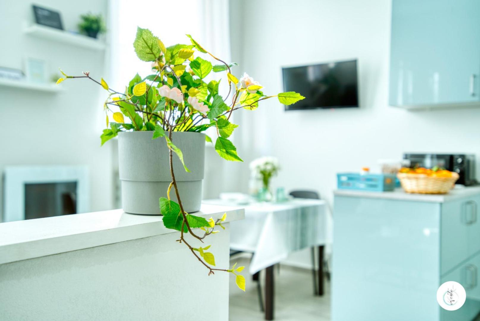 In Curti 1913 Apartment ปาราบิอาโก ภายนอก รูปภาพ